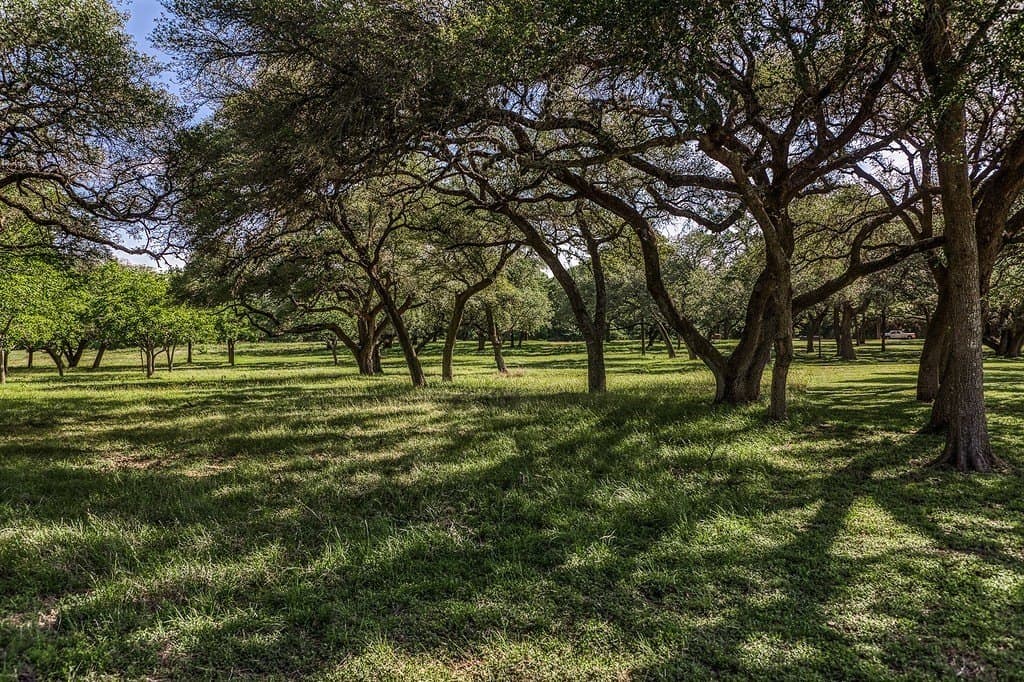 5 acres in Washington County gallery image 2