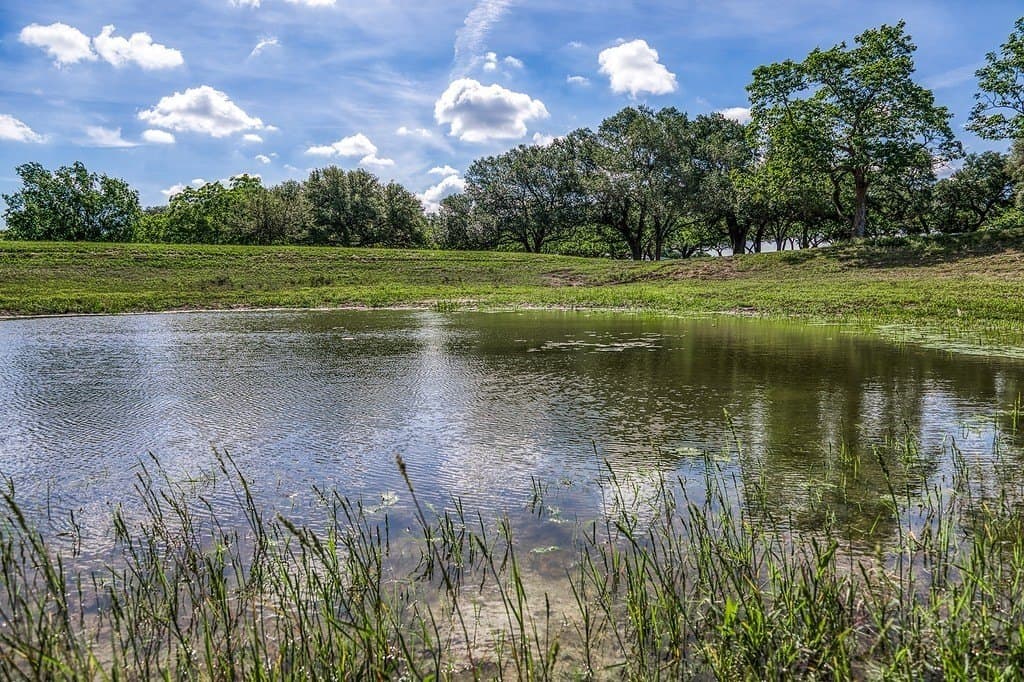 5 acres in Washington County