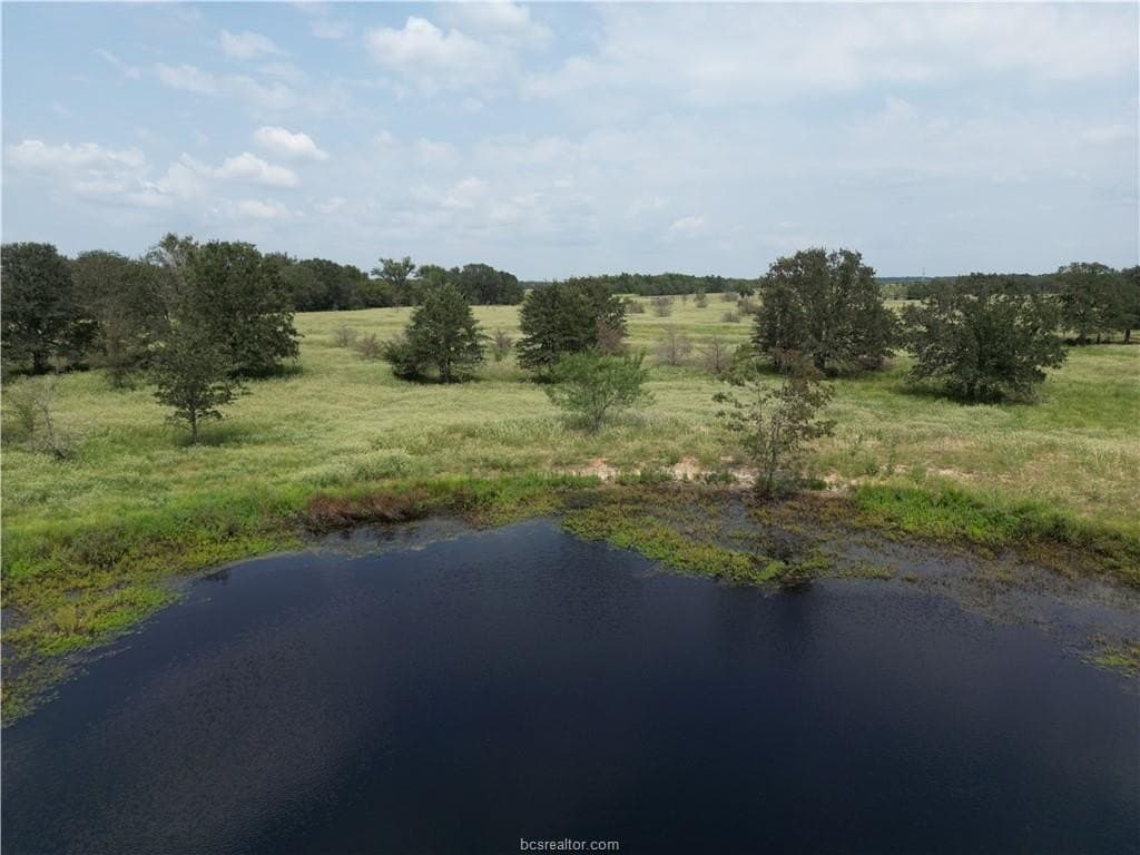 26.97 acres in Leon County gallery image 3