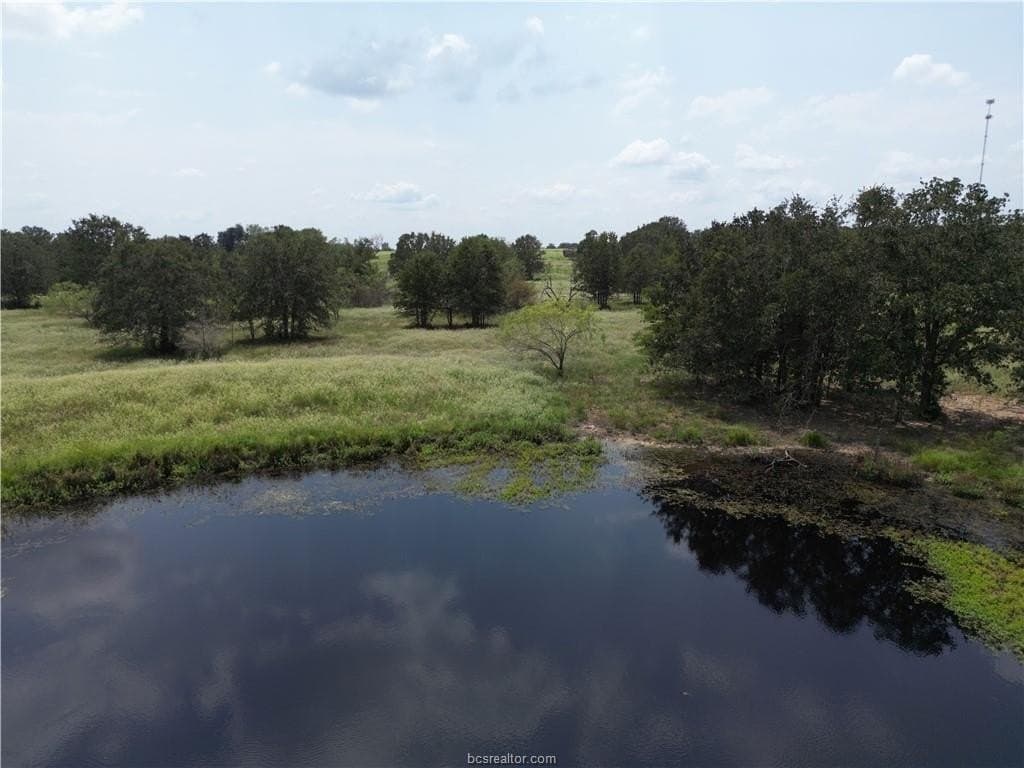 26.97 acres in Leon County gallery image 2
