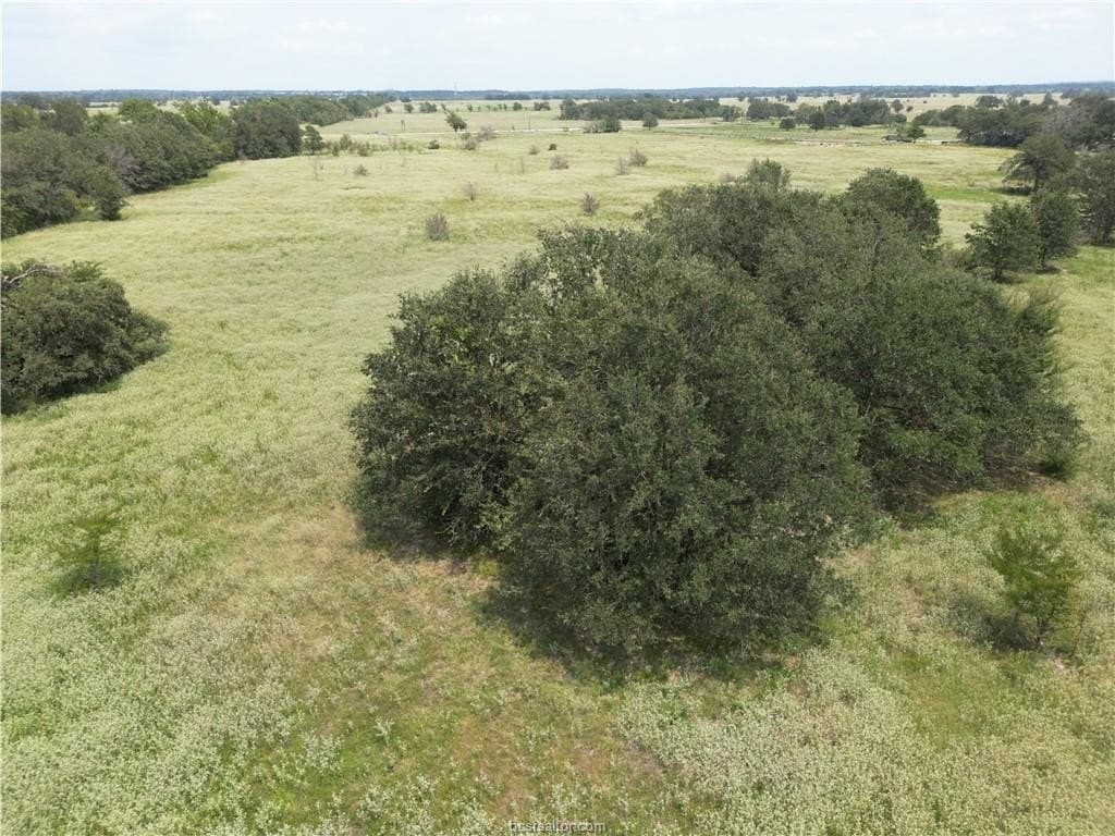 26.97 acres in Leon County featured view