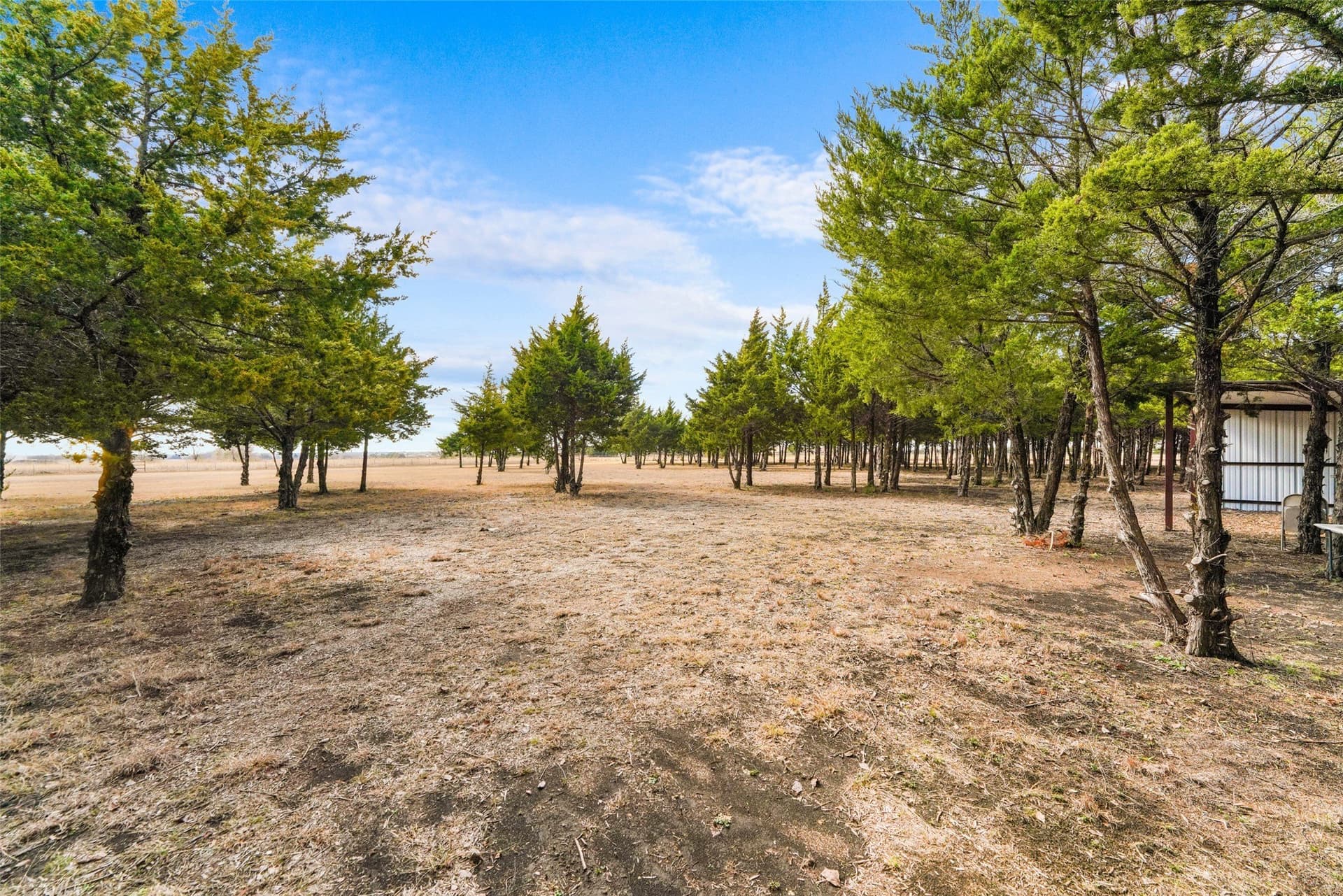 14.11 acres in Dallas County - photo 4