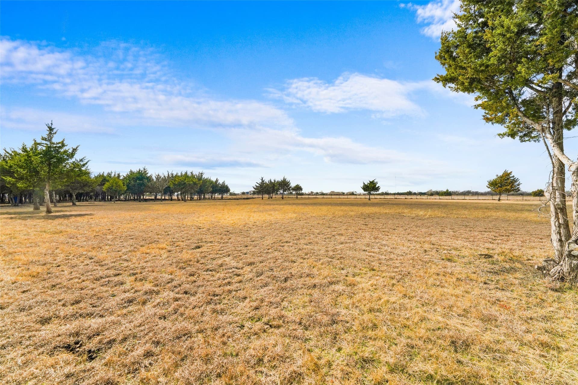 14.11 acres in Dallas County - photo 7