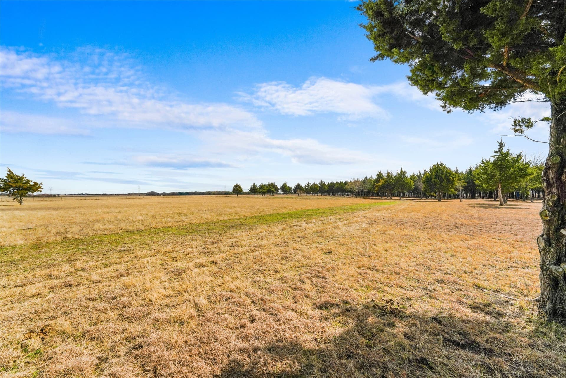 14.11 acres in Dallas County - photo 6
