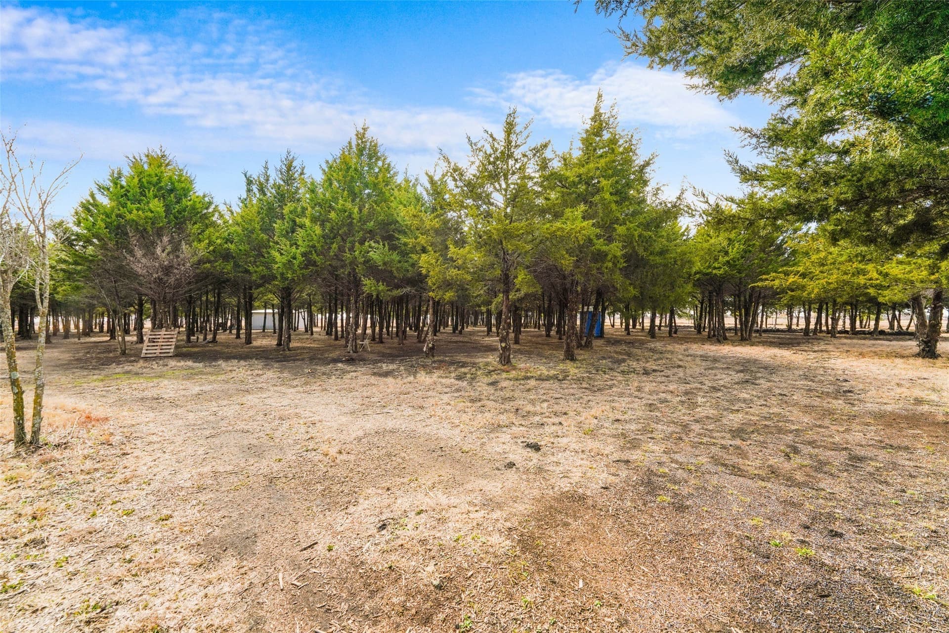 14.11 acres in Dallas County - photo 9