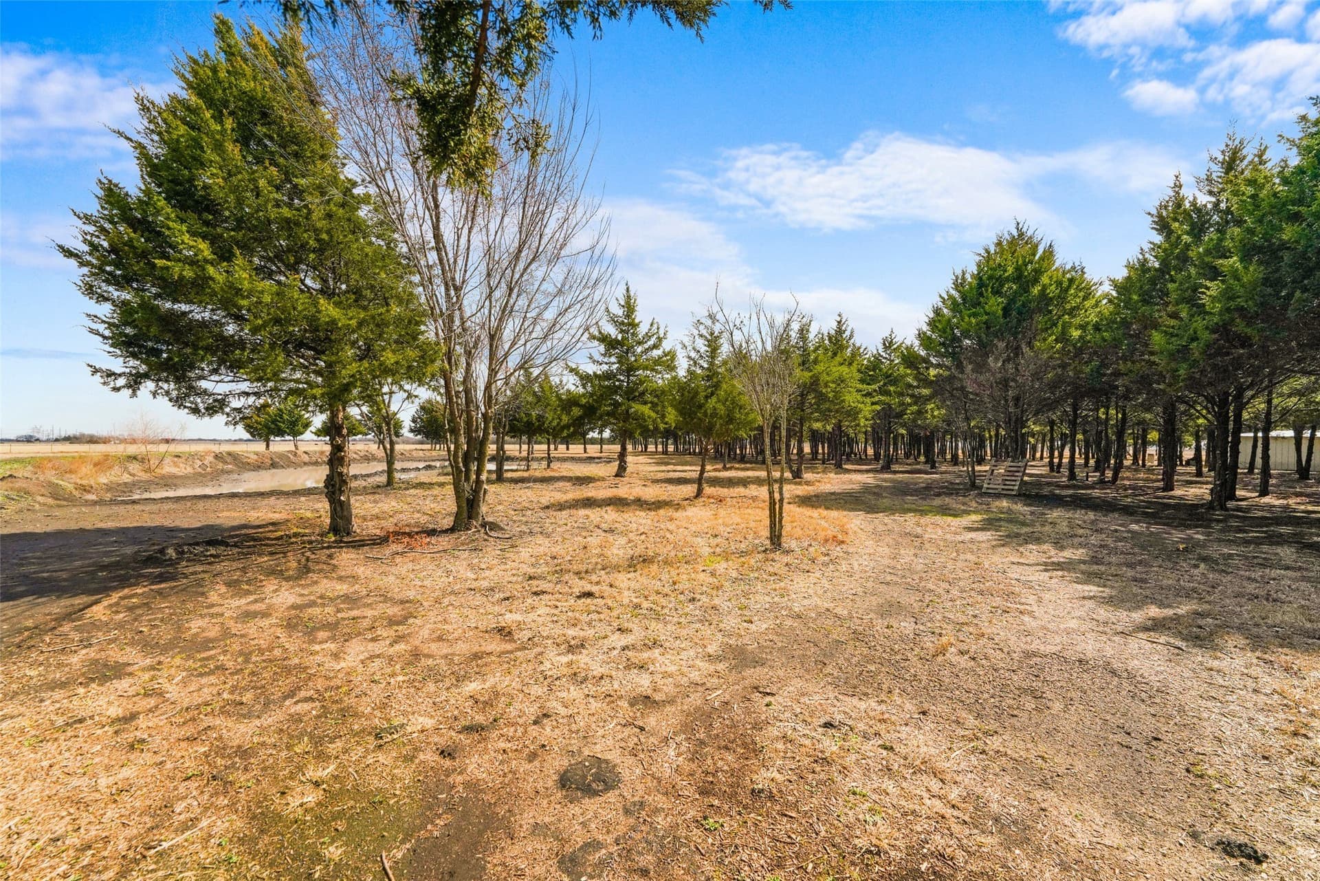 14.11 acres in Dallas County - photo 13