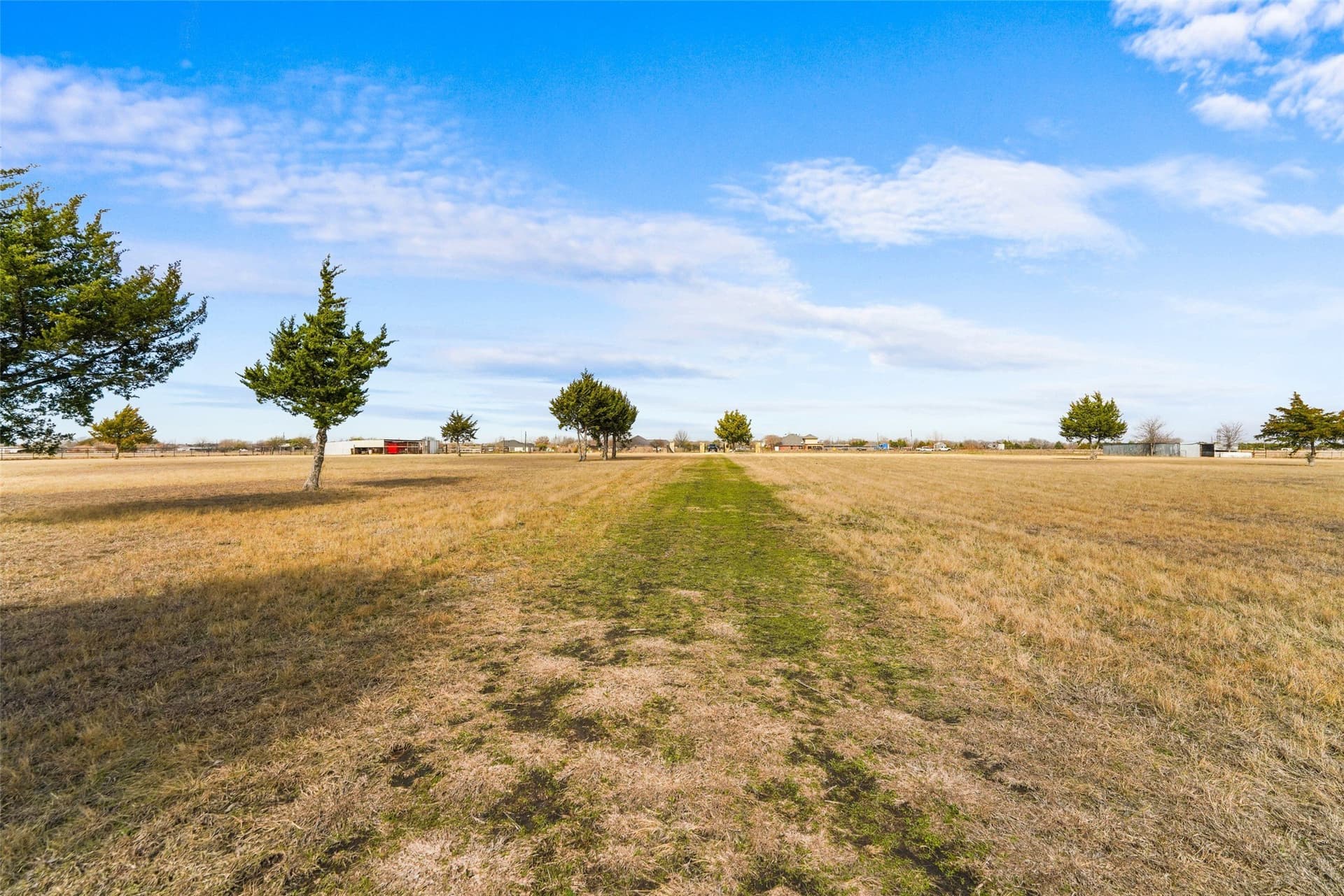 14.11 acres in Dallas County - photo 8