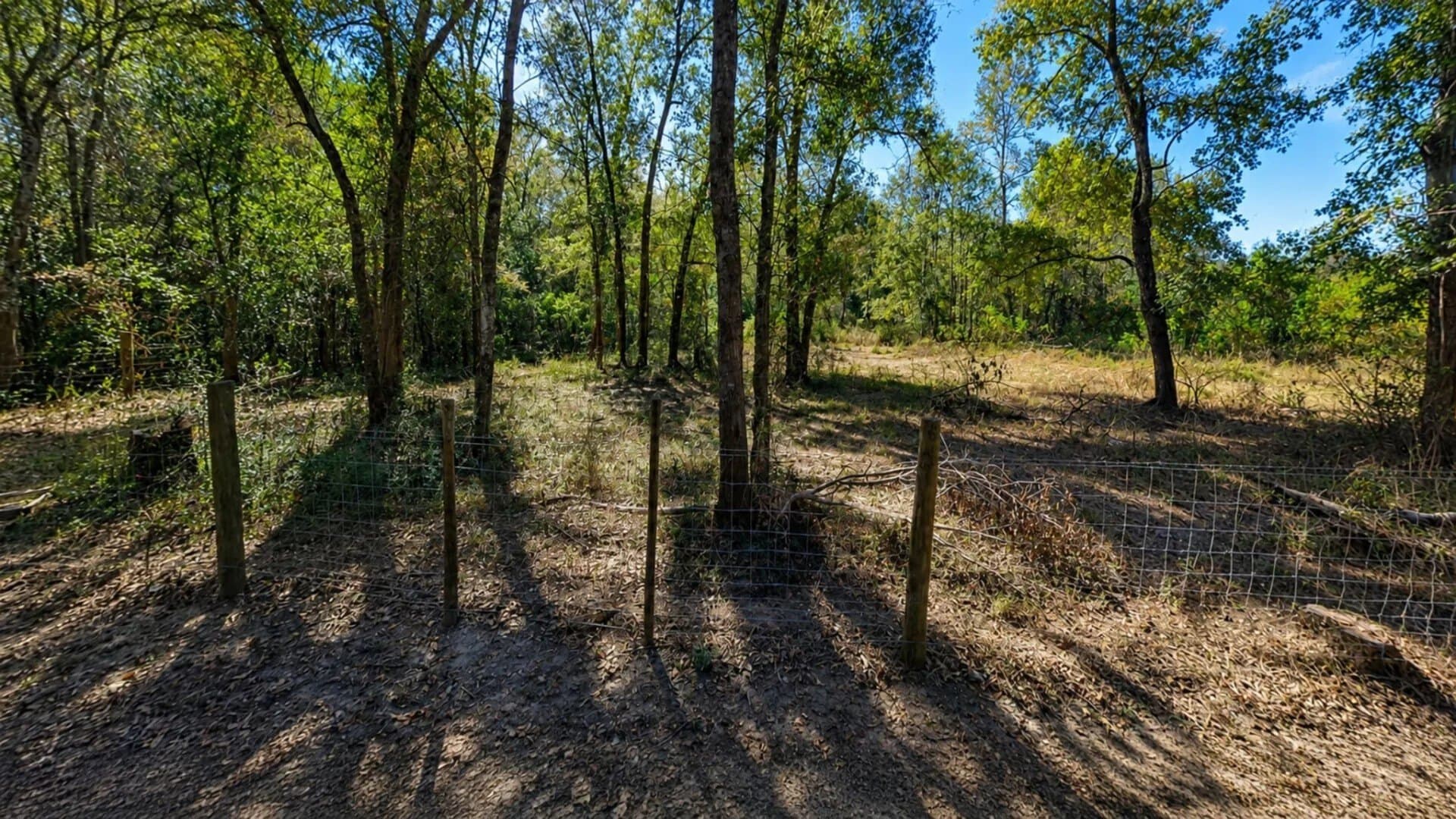 0.33 acres in Trinity County - photo 5