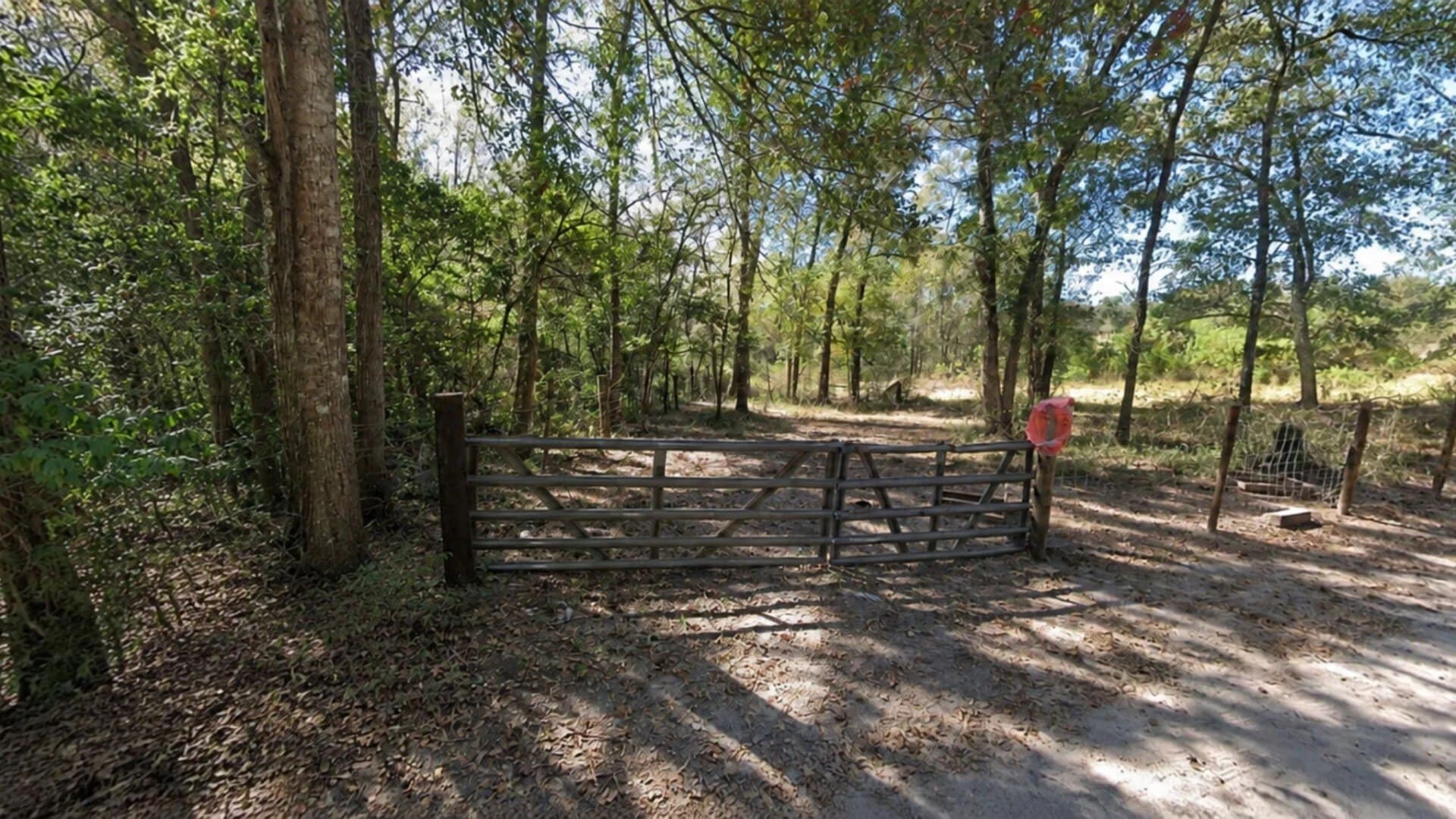 0.33 acres in Trinity County - photo 4