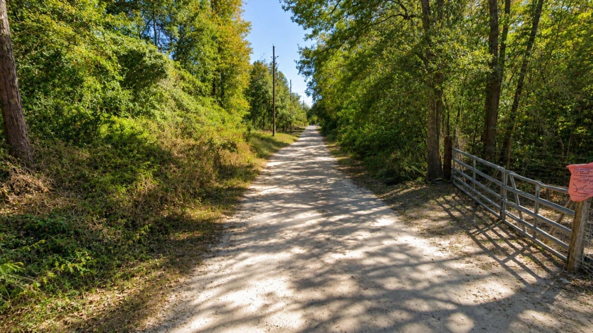 0.33 acres in Trinity County - photo 2