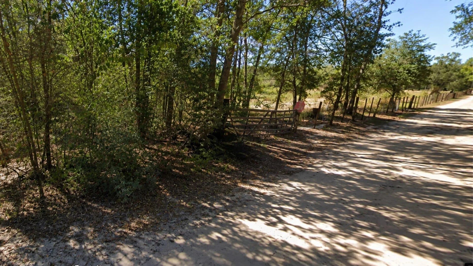 0.33 acres in Trinity County - photo 3