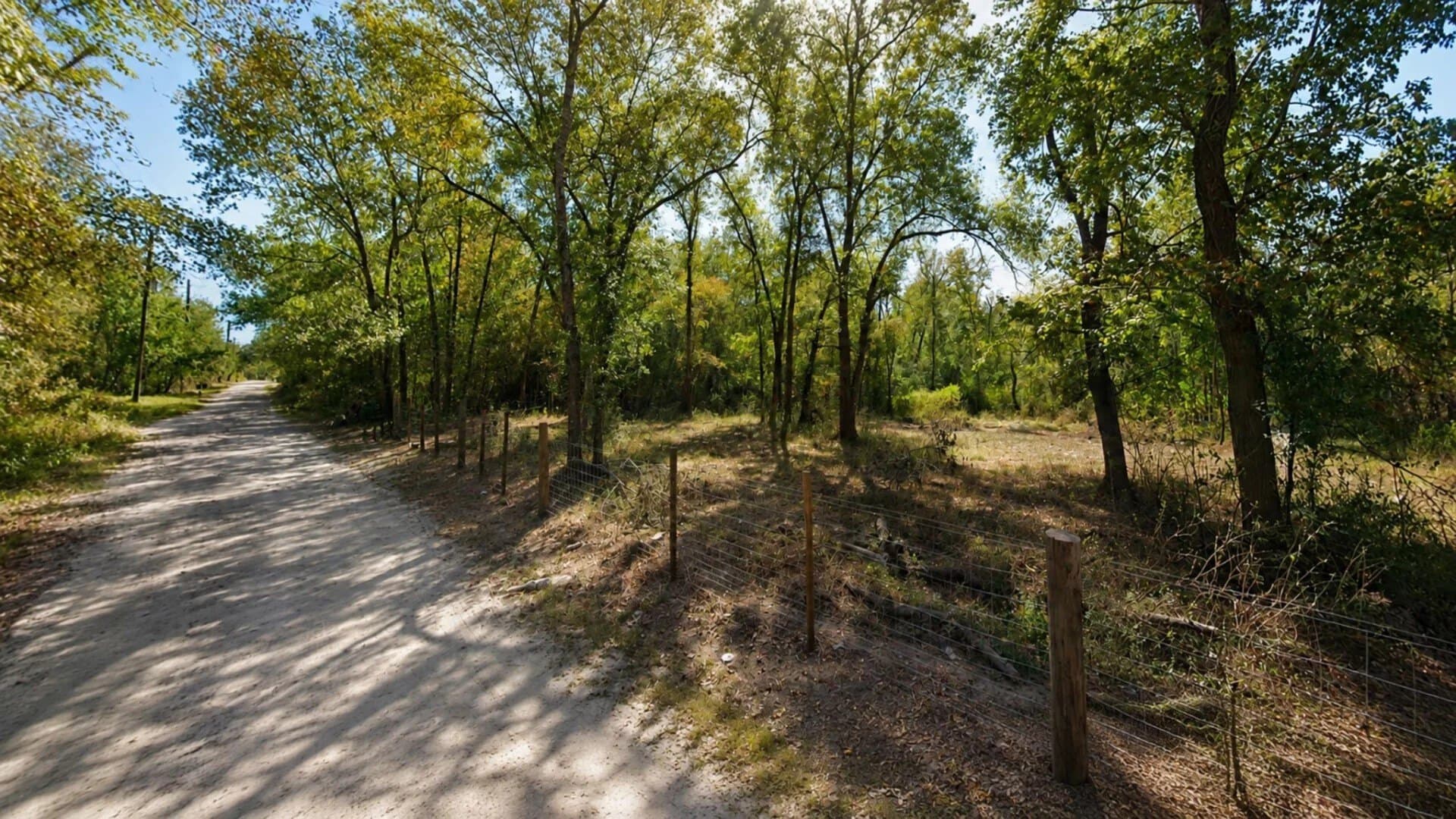 0.33 acres in Trinity County - photo 6