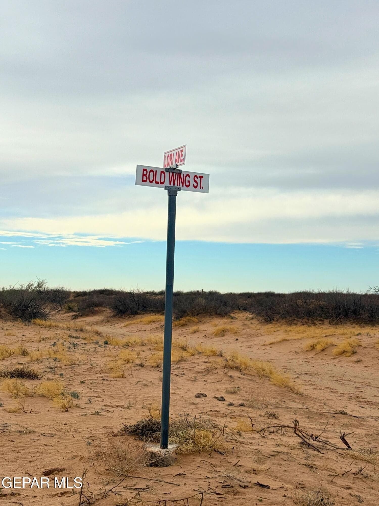 40 acres in Hudspeth County - photo 3