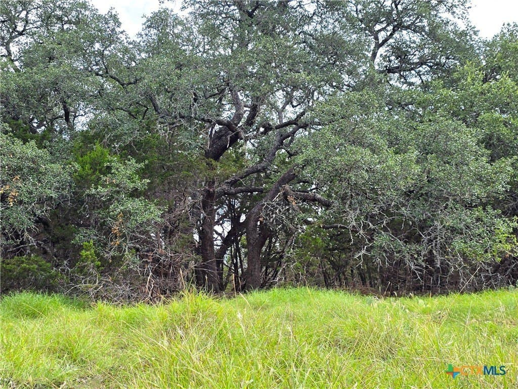 15 acres in Burnet County featured view