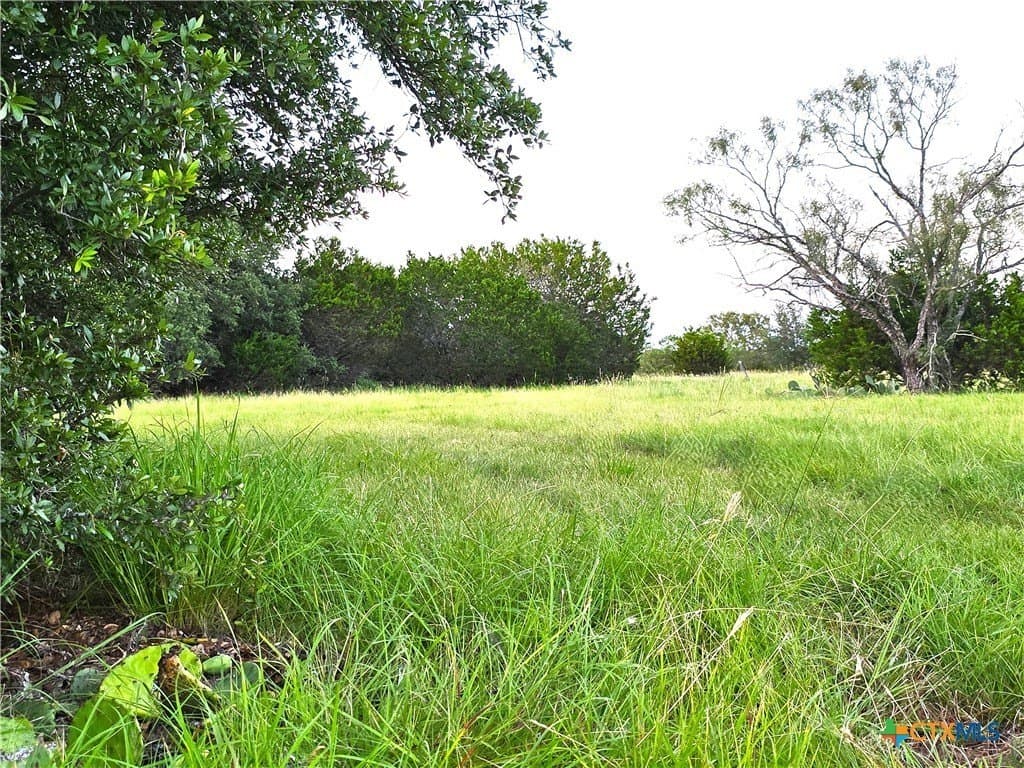 15 acres in Burnet County gallery image 2