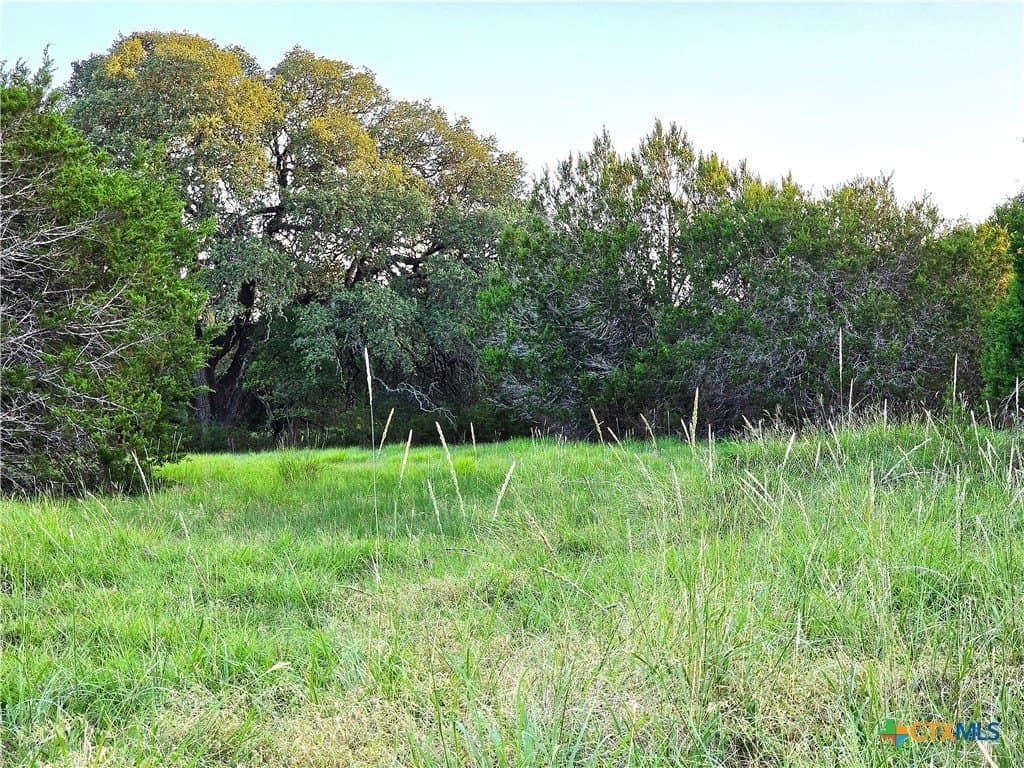 15 acres in Burnet County gallery image 3