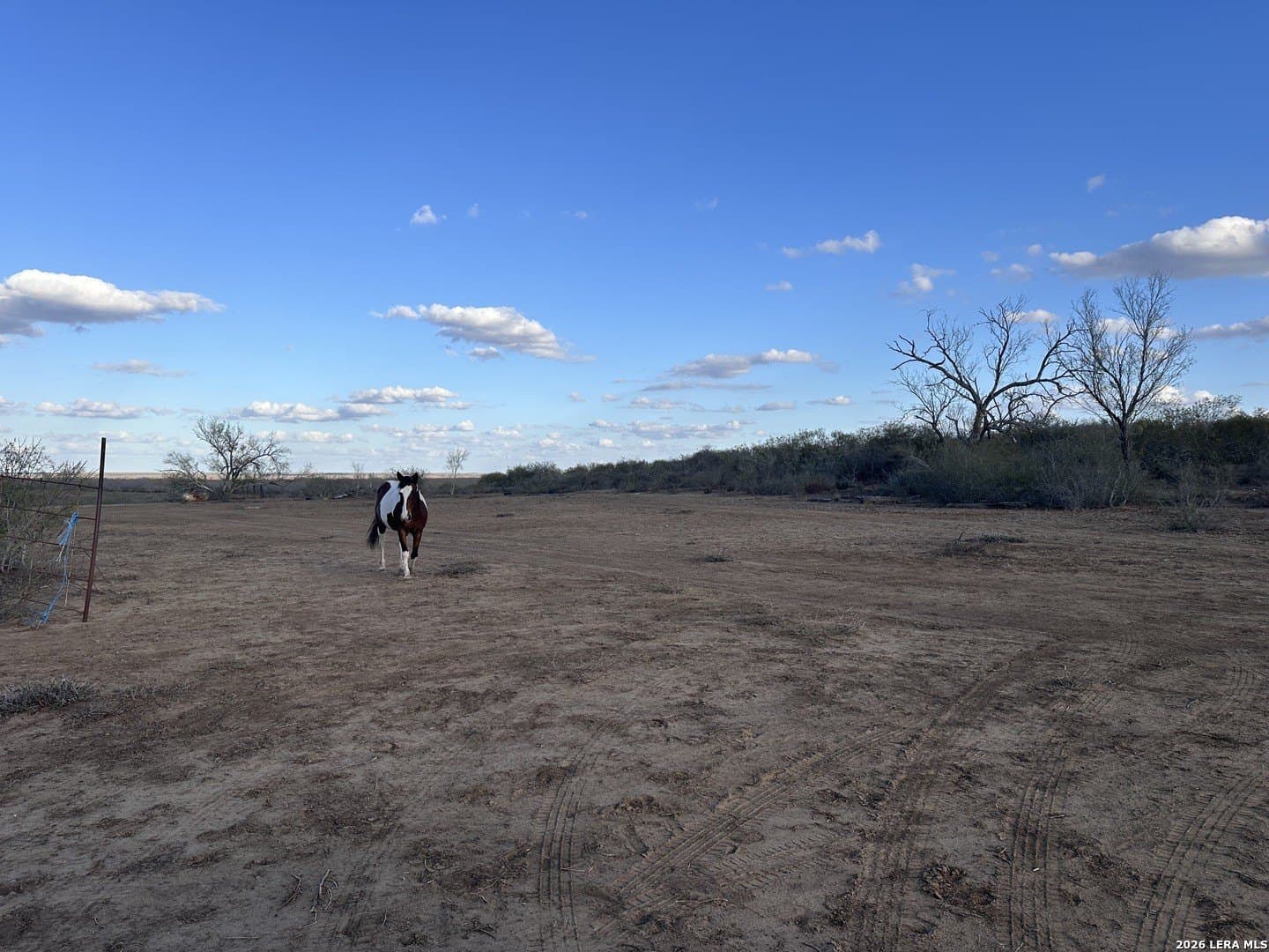 16.93 acres in Atascosa County - photo 9