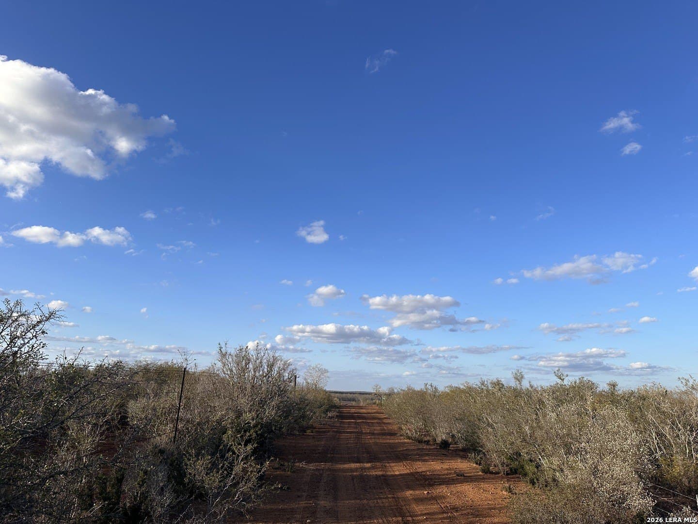 16.93 acres in Atascosa County - photo 6