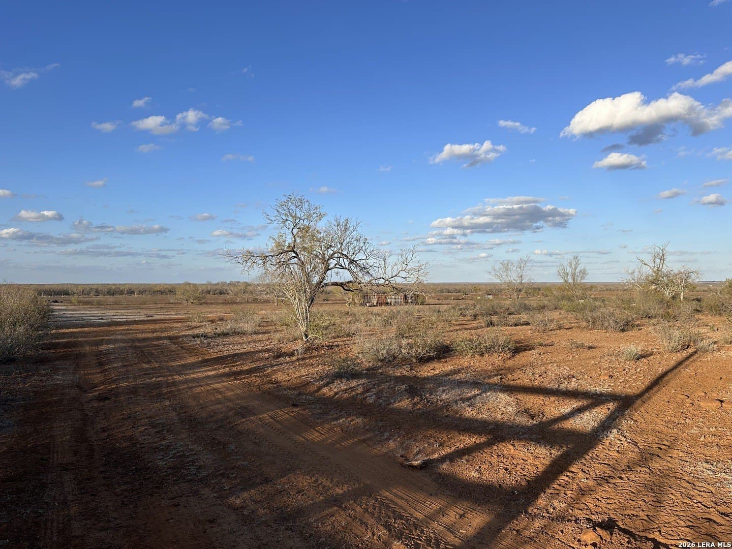 16.93 acres in Atascosa County gallery image 4
