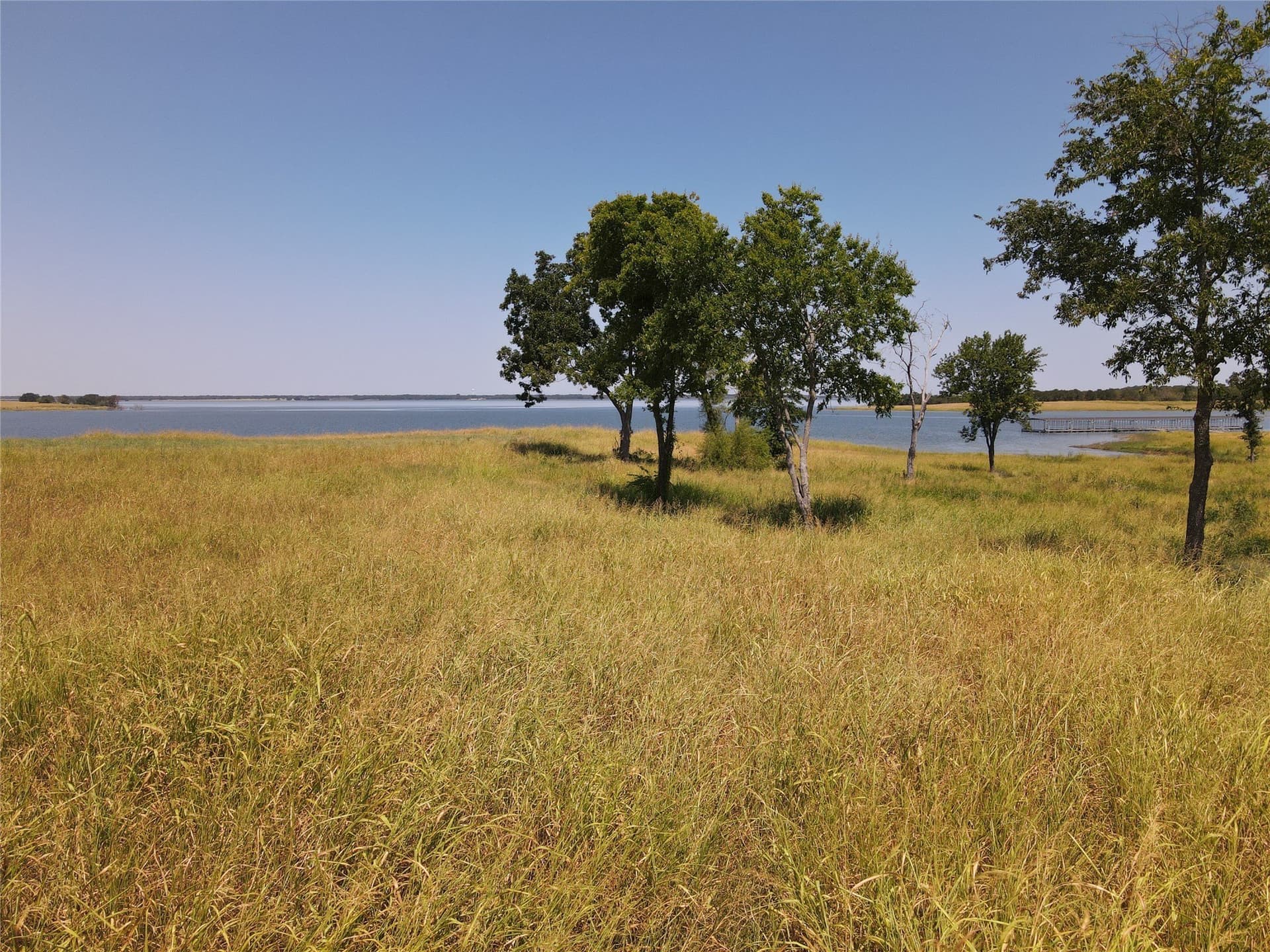1.73 acres in Fannin County - photo 8
