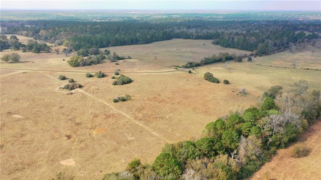 25.33 acres in Leon County featured view