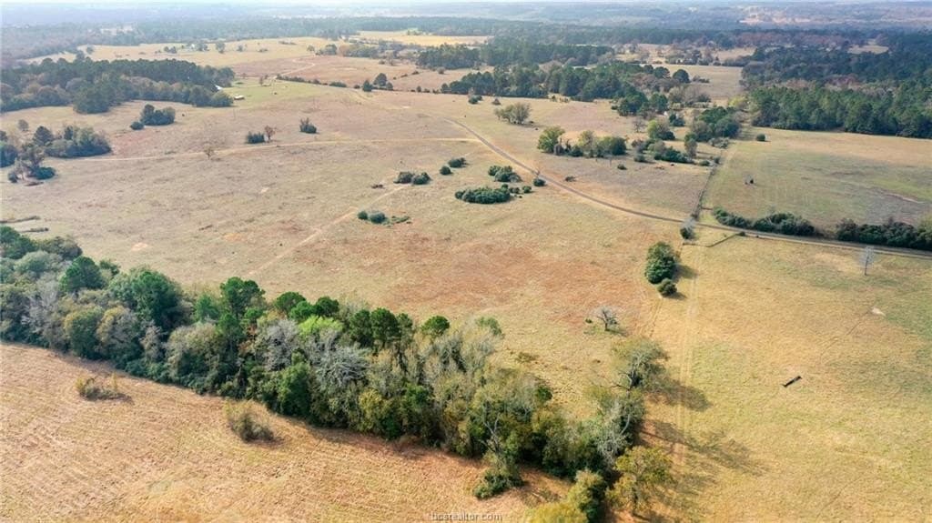 25.33 acres in Leon County gallery image 2