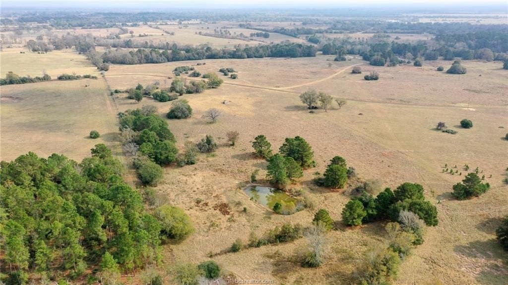 25.33 acres in Leon County gallery image 3