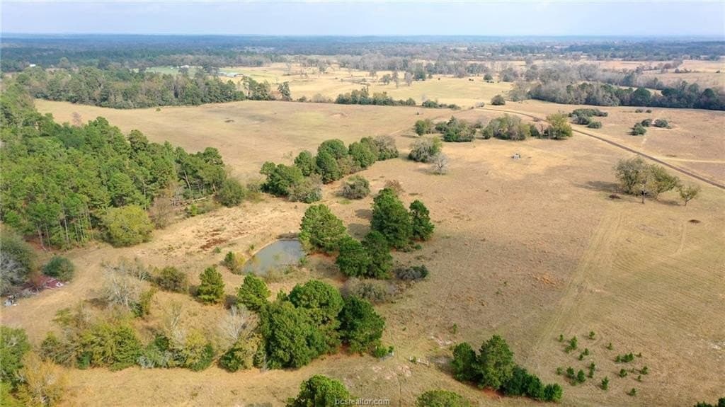 25.33 acres in Leon County gallery image 4