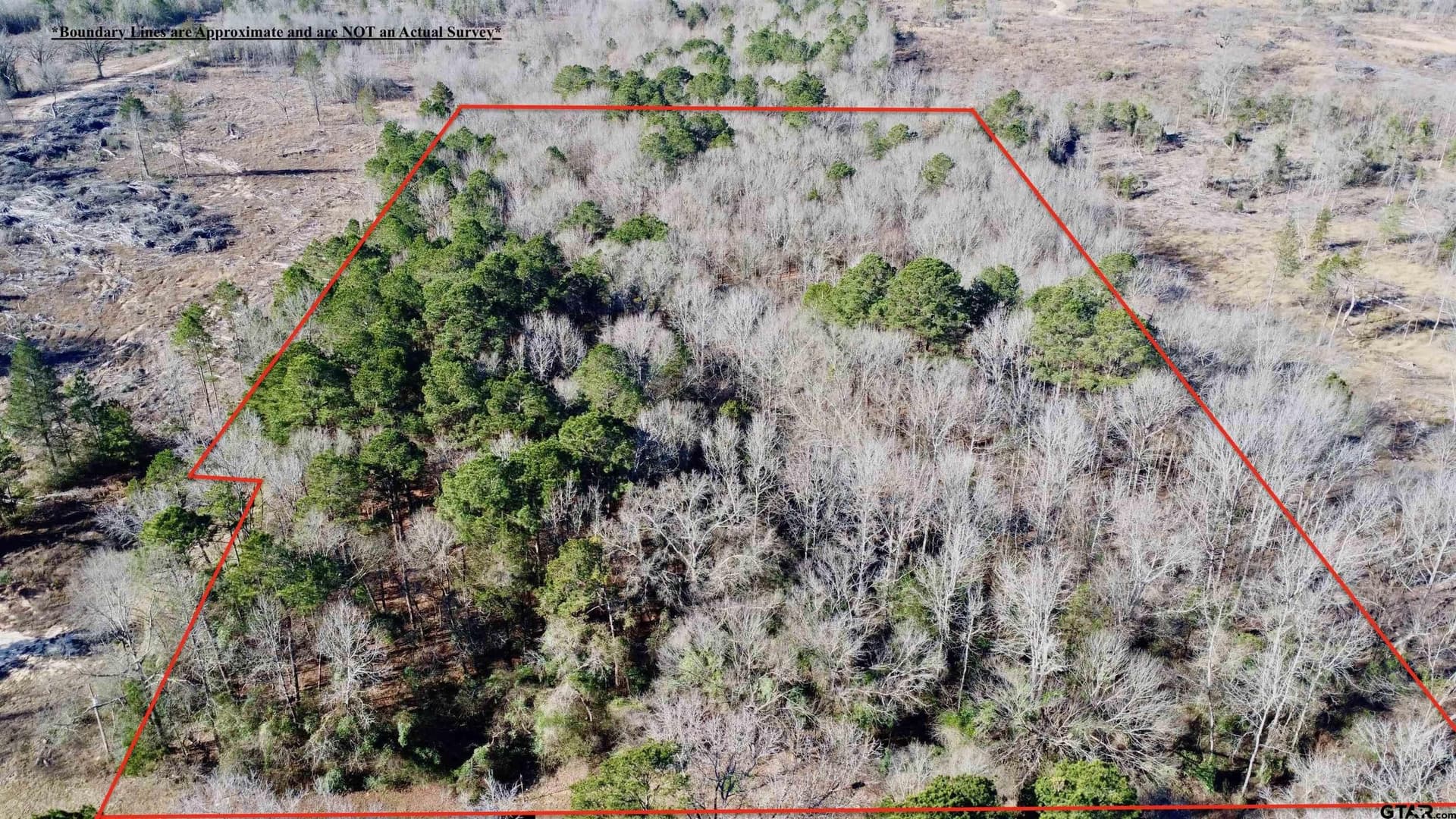 6.89 acres in Cass County gallery image 3