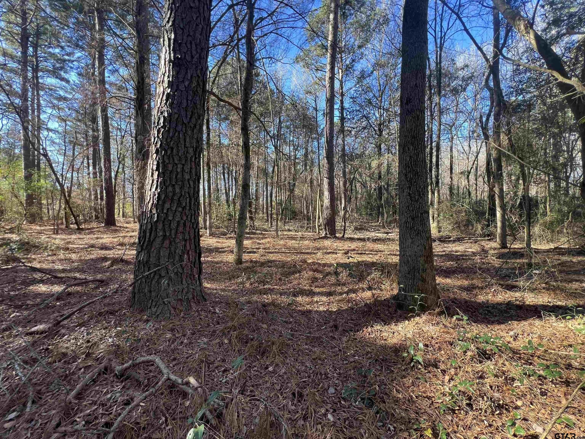 6.89 acres in Cass County gallery image 2