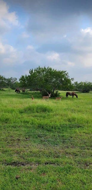17.88 acres in San Patricio County gallery image 2