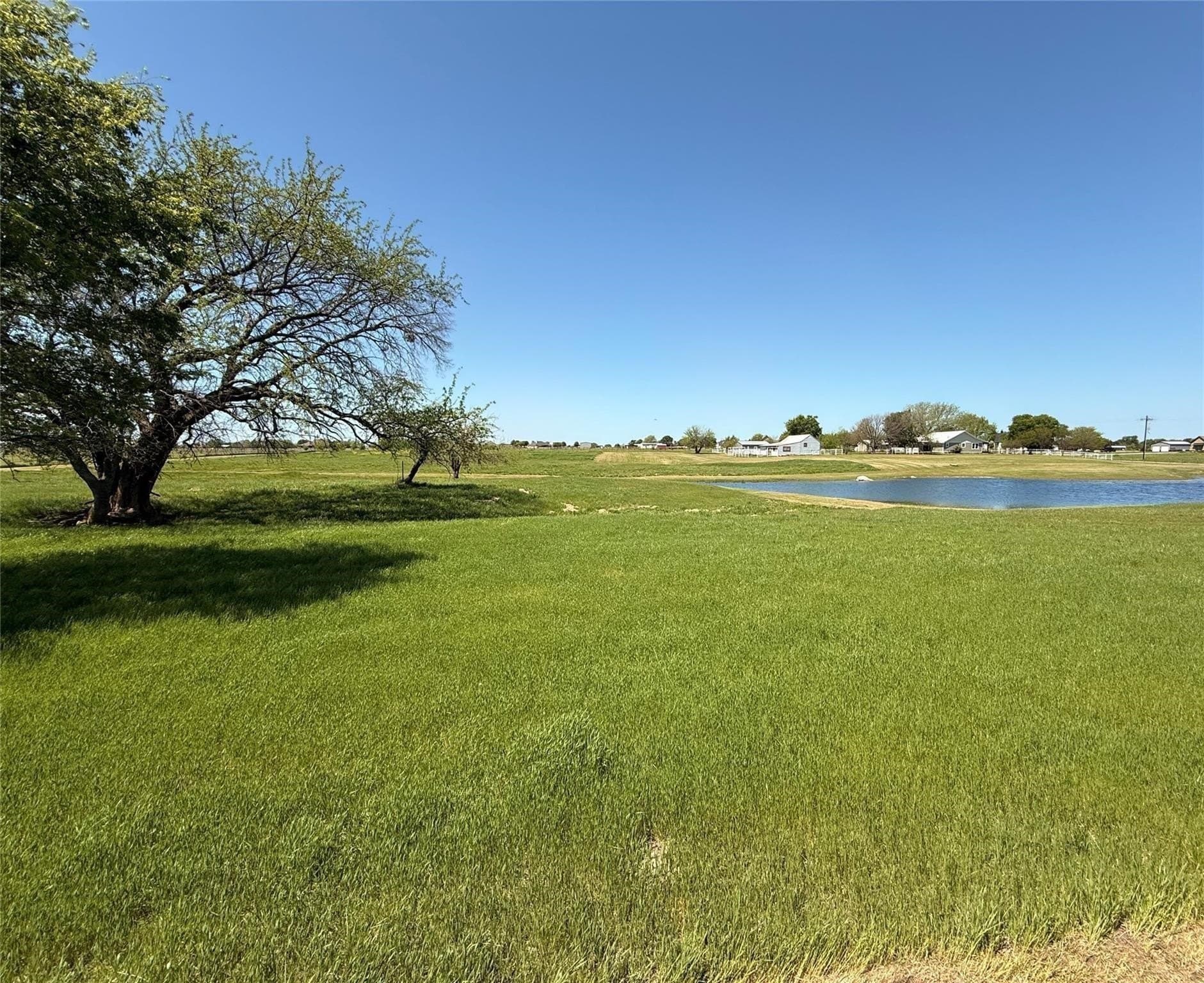 12 acres in Grayson County - photo 8