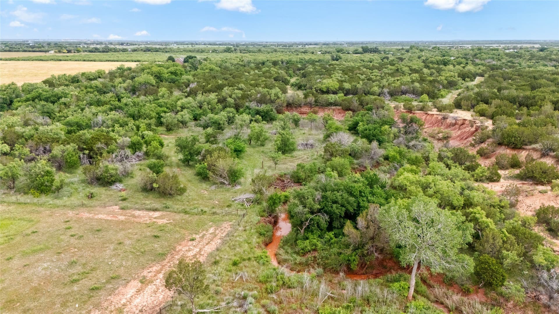 19.28 acres in Taylor County - photo 27