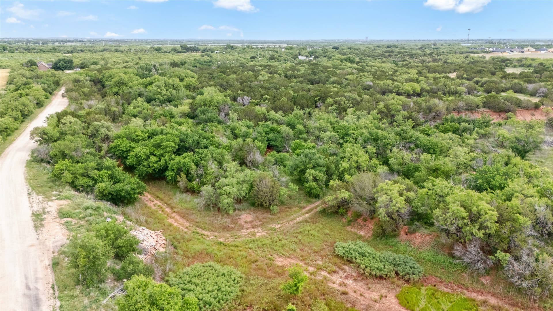 19.28 acres in Taylor County - photo 29