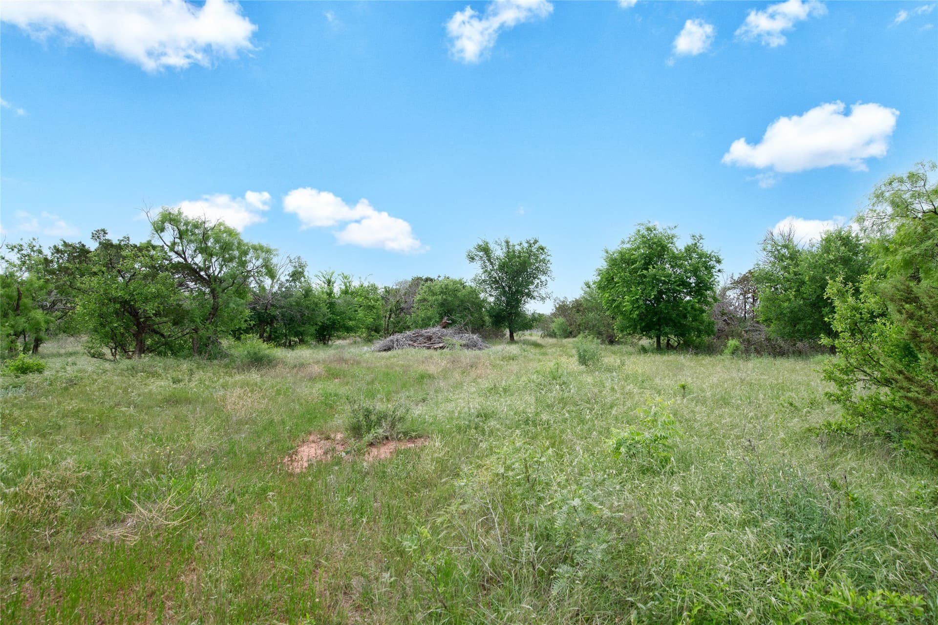 19.28 acres in Taylor County - photo 36