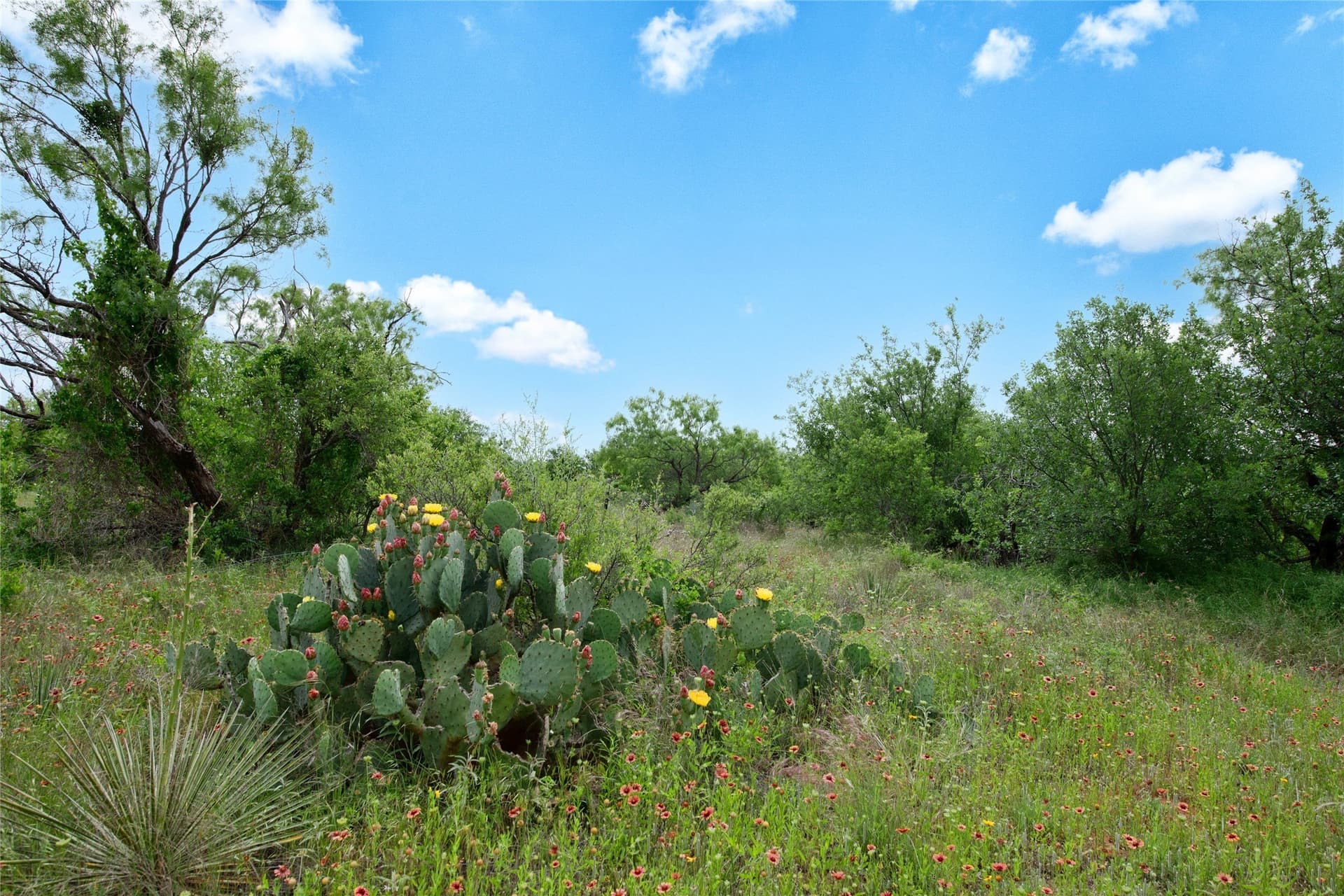 19.28 acres in Taylor County - photo 37