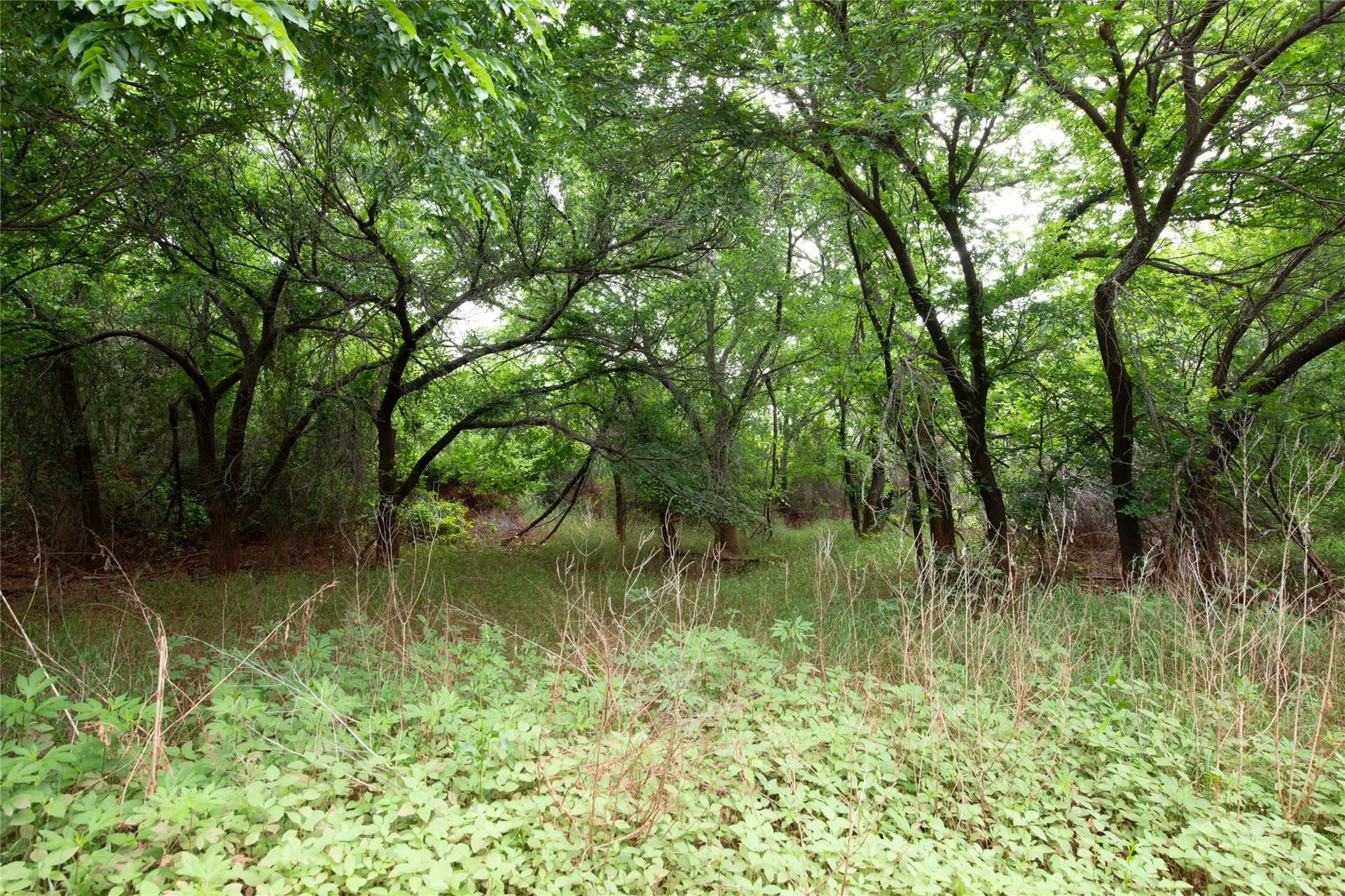 19.28 acres in Taylor County - photo 34