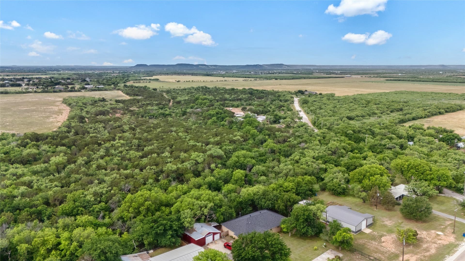 19.28 acres in Taylor County - photo 4
