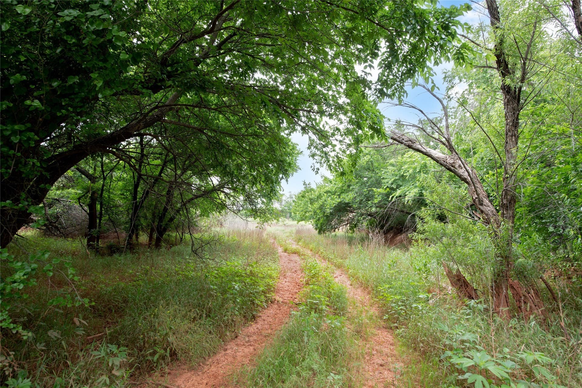 19.28 acres in Taylor County - photo 33