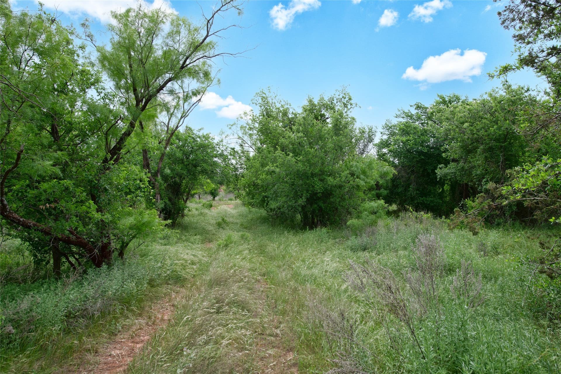 19.28 acres in Taylor County - photo 35