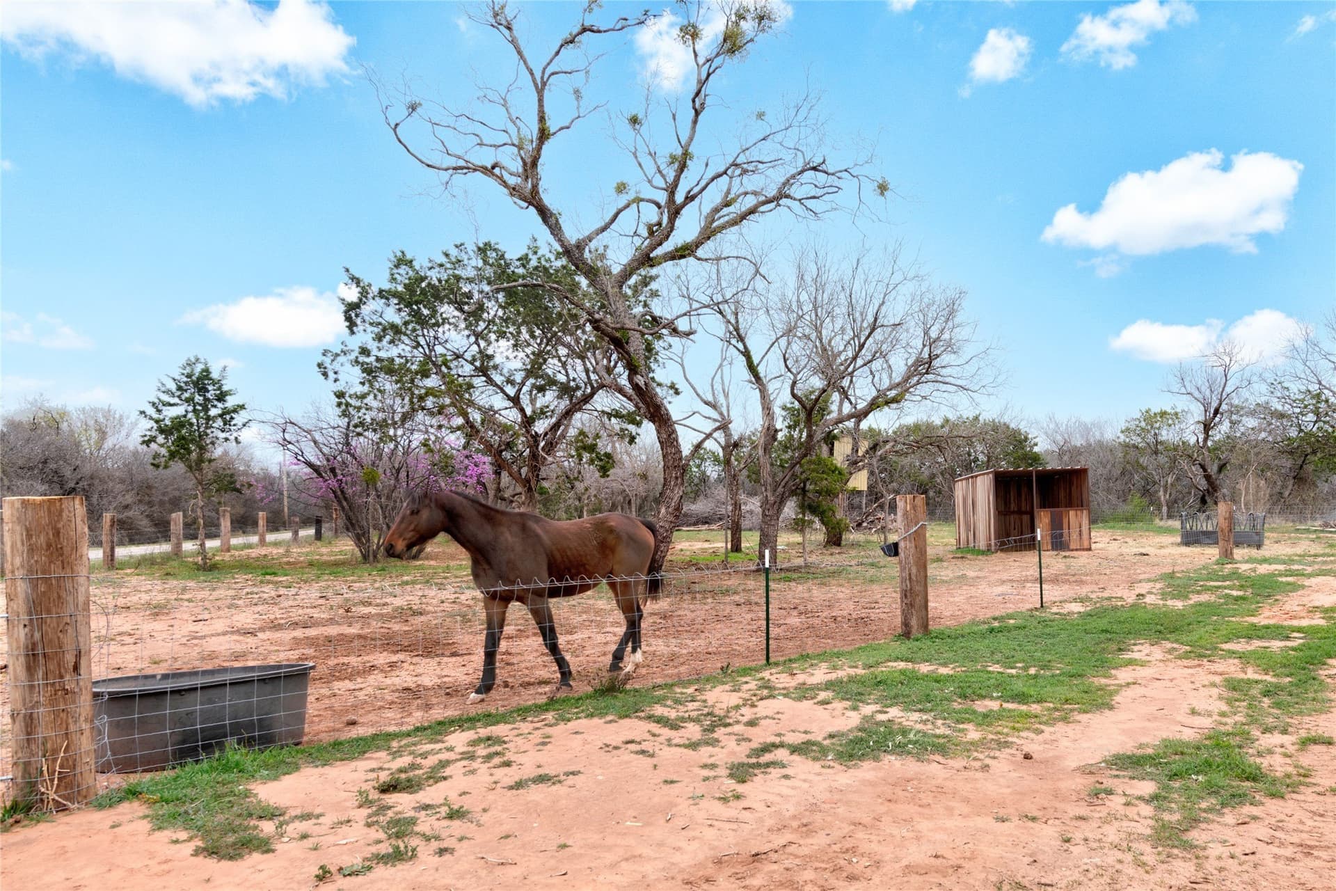 19.28 acres in Taylor County - photo 32
