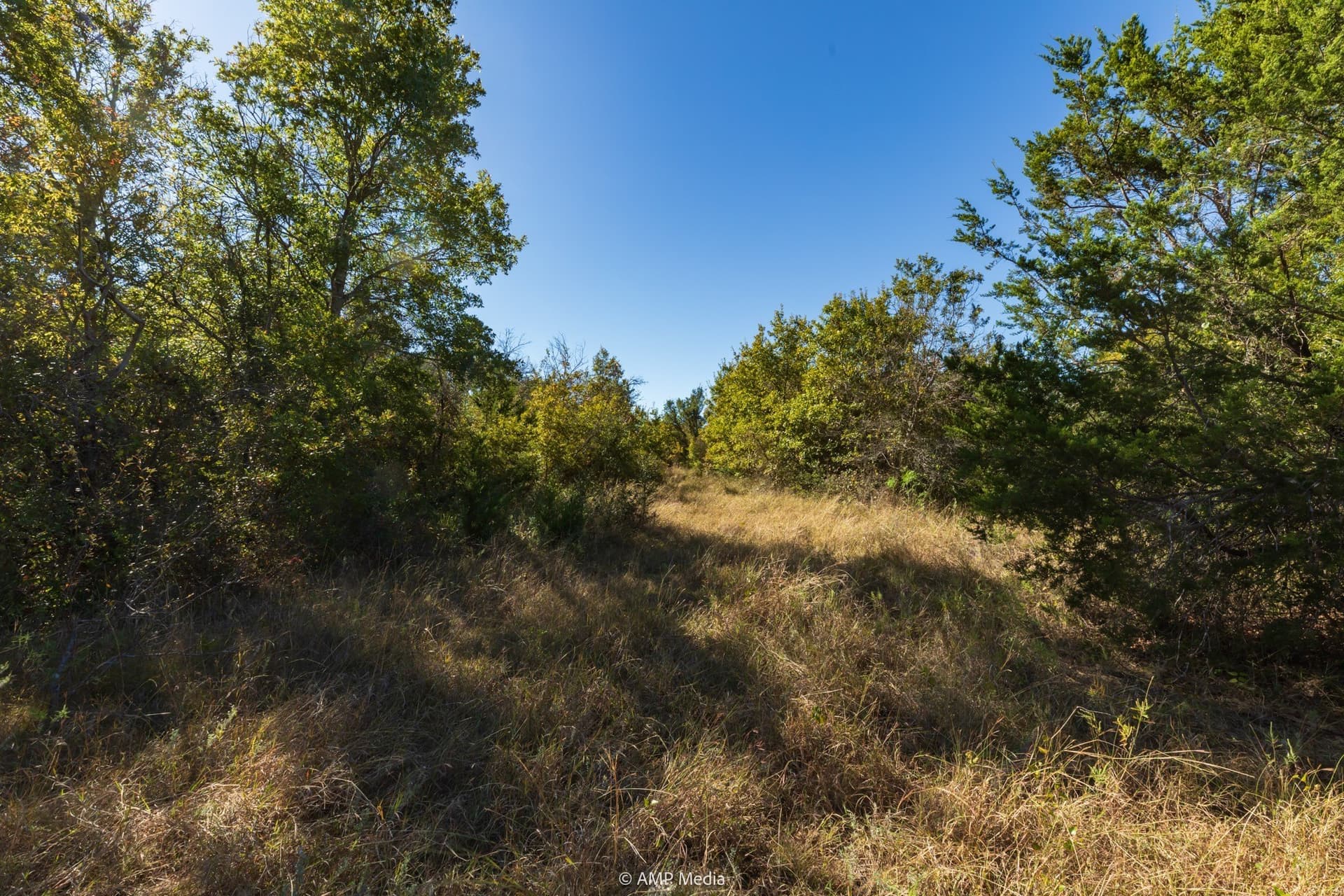 60 acres in Comanche County - photo 13