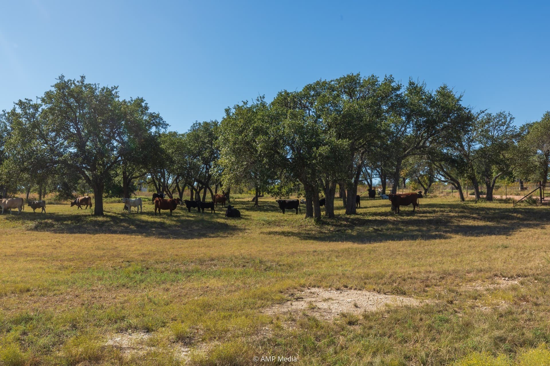 60 acres in Comanche County - photo 17