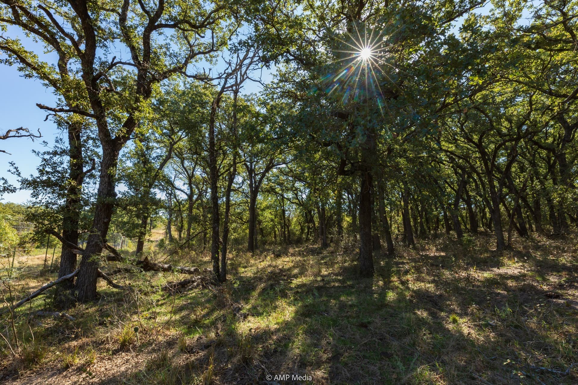 60 acres in Comanche County - photo 7