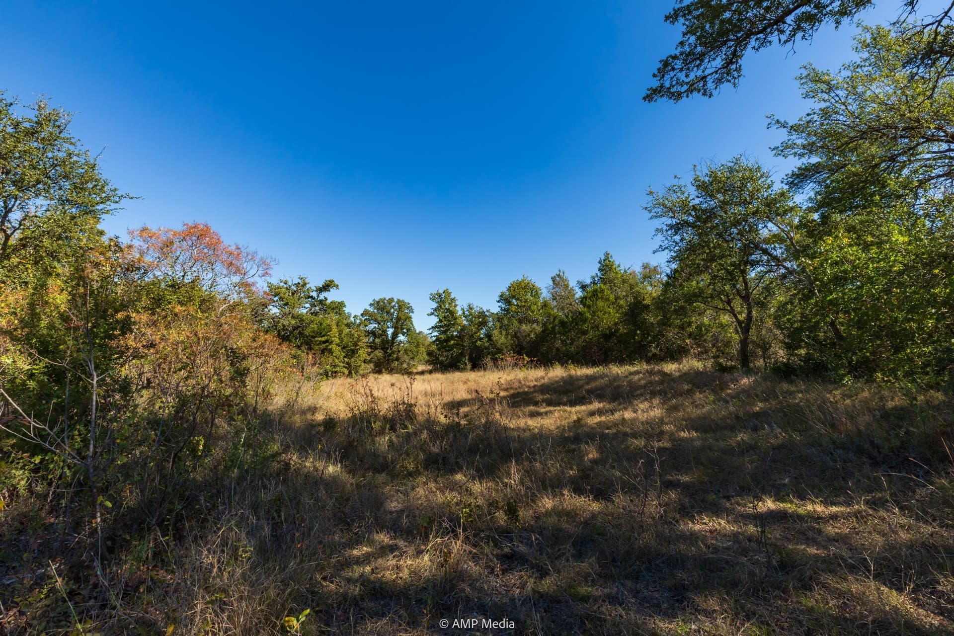 60 acres in Comanche County - photo 9