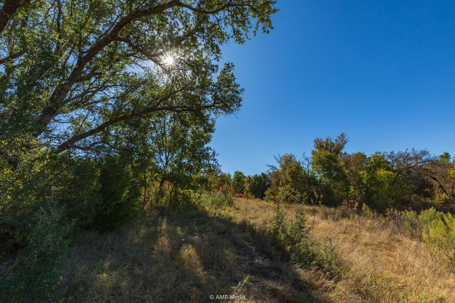 60 acres in Comanche County - photo 11