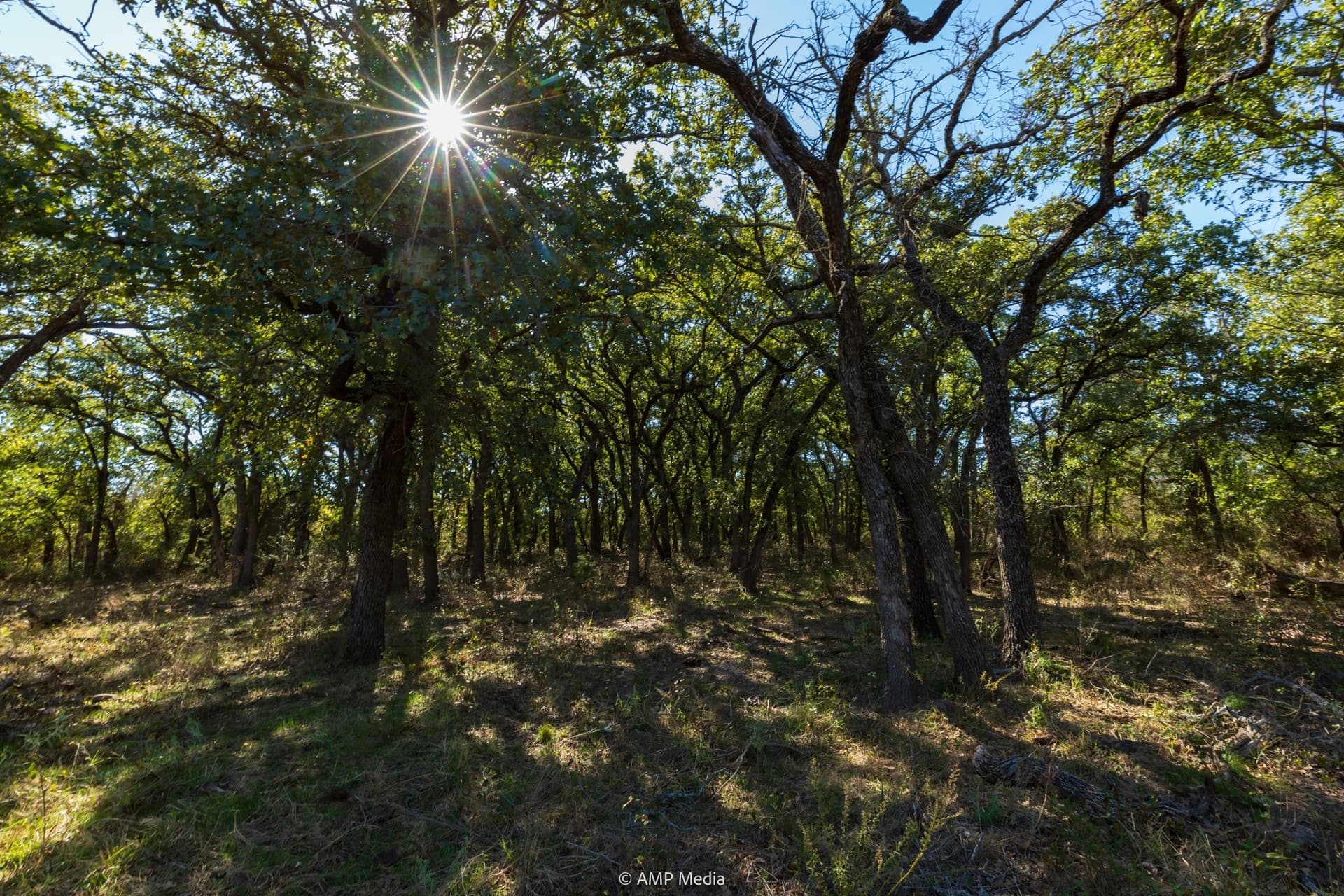60 acres in Comanche County - photo 8
