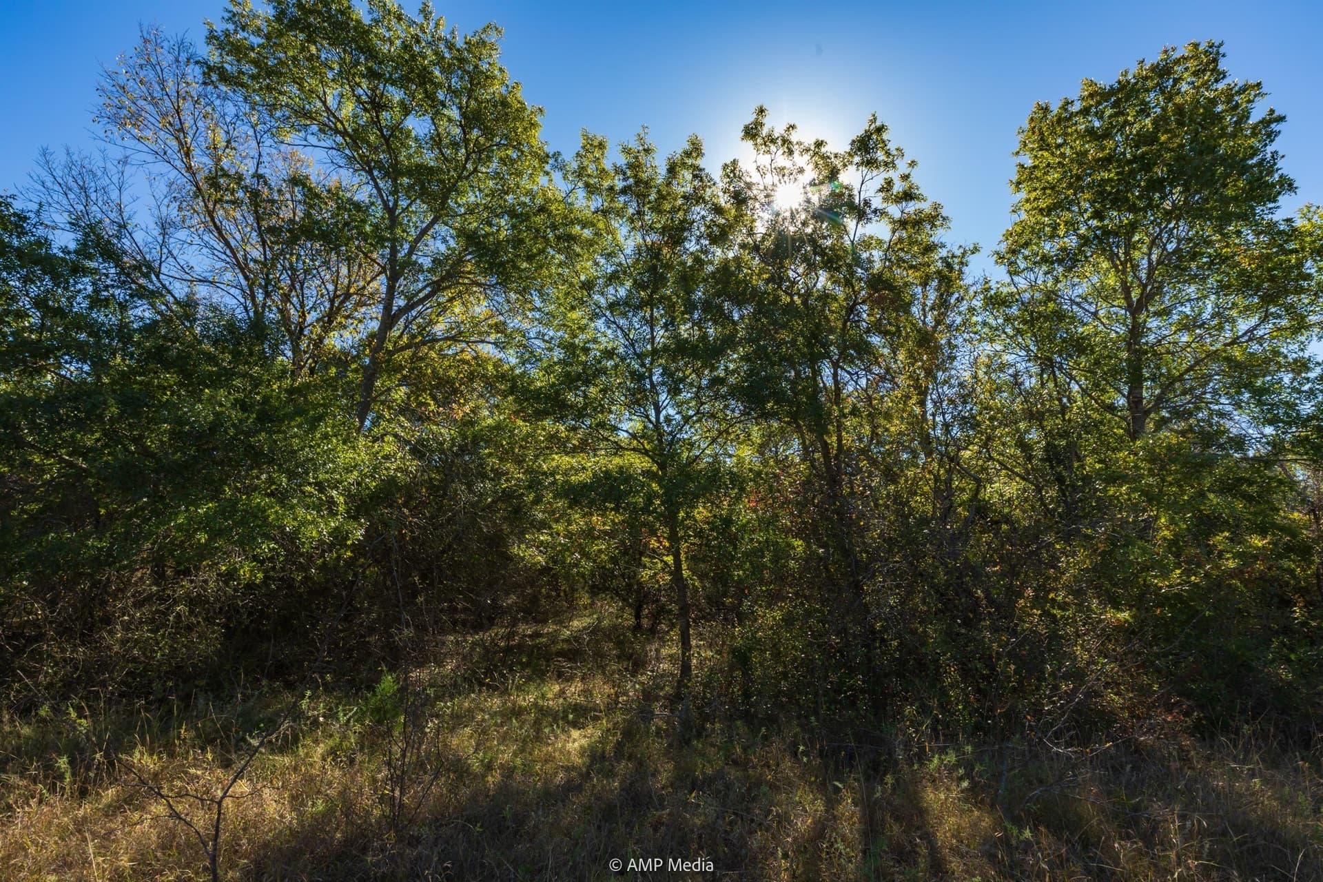 60 acres in Comanche County - photo 12