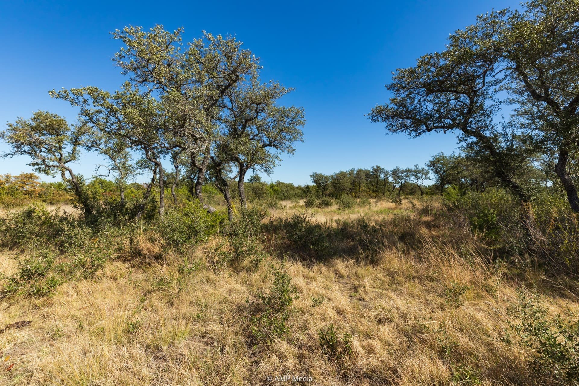 60 acres in Comanche County - photo 16