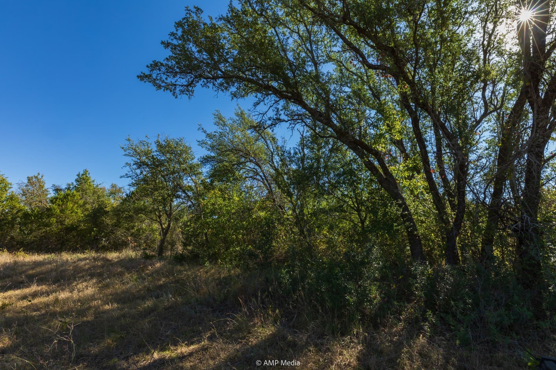 60 acres in Comanche County - photo 10